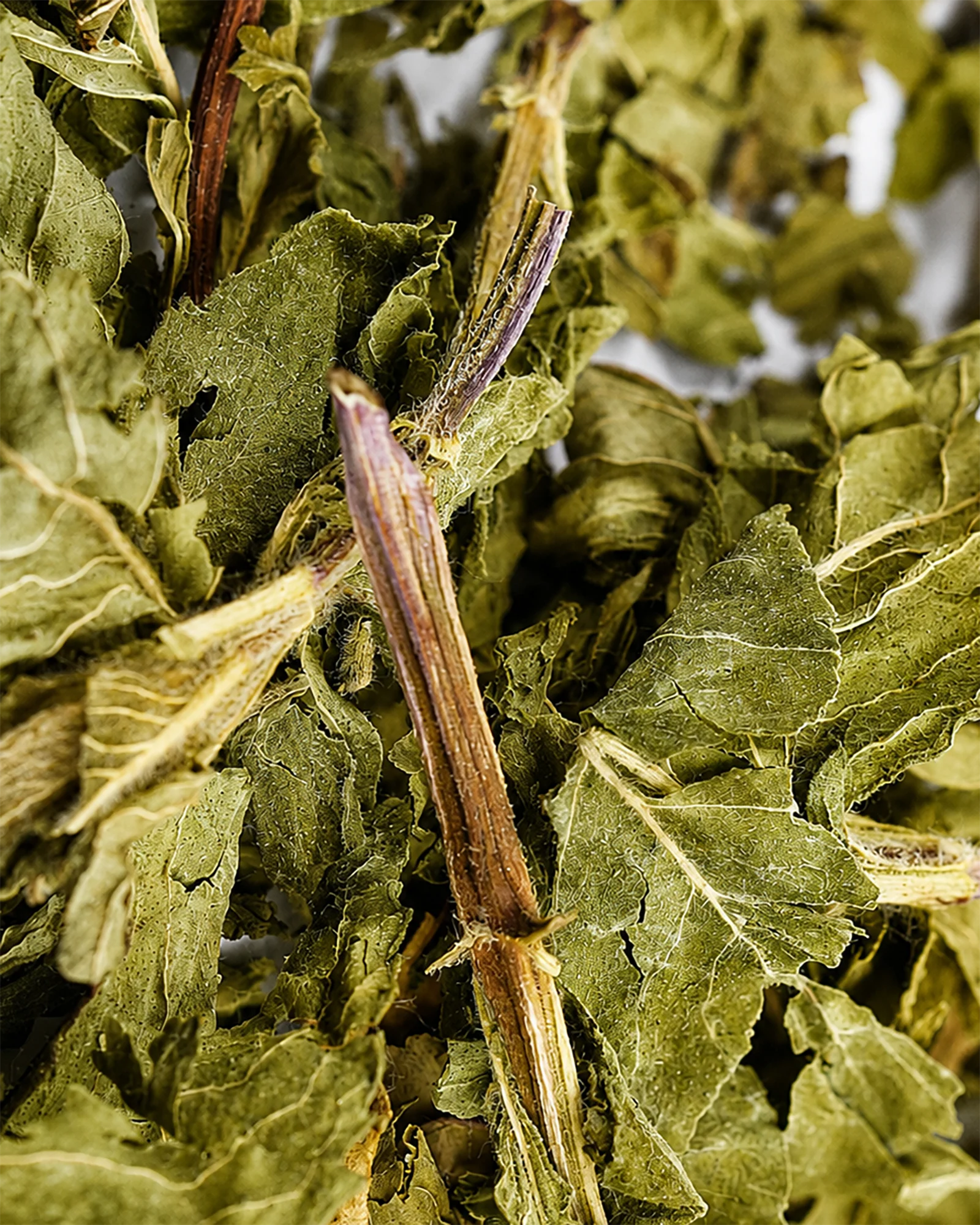 Close-up of loose green sencha tea leaves and stems.