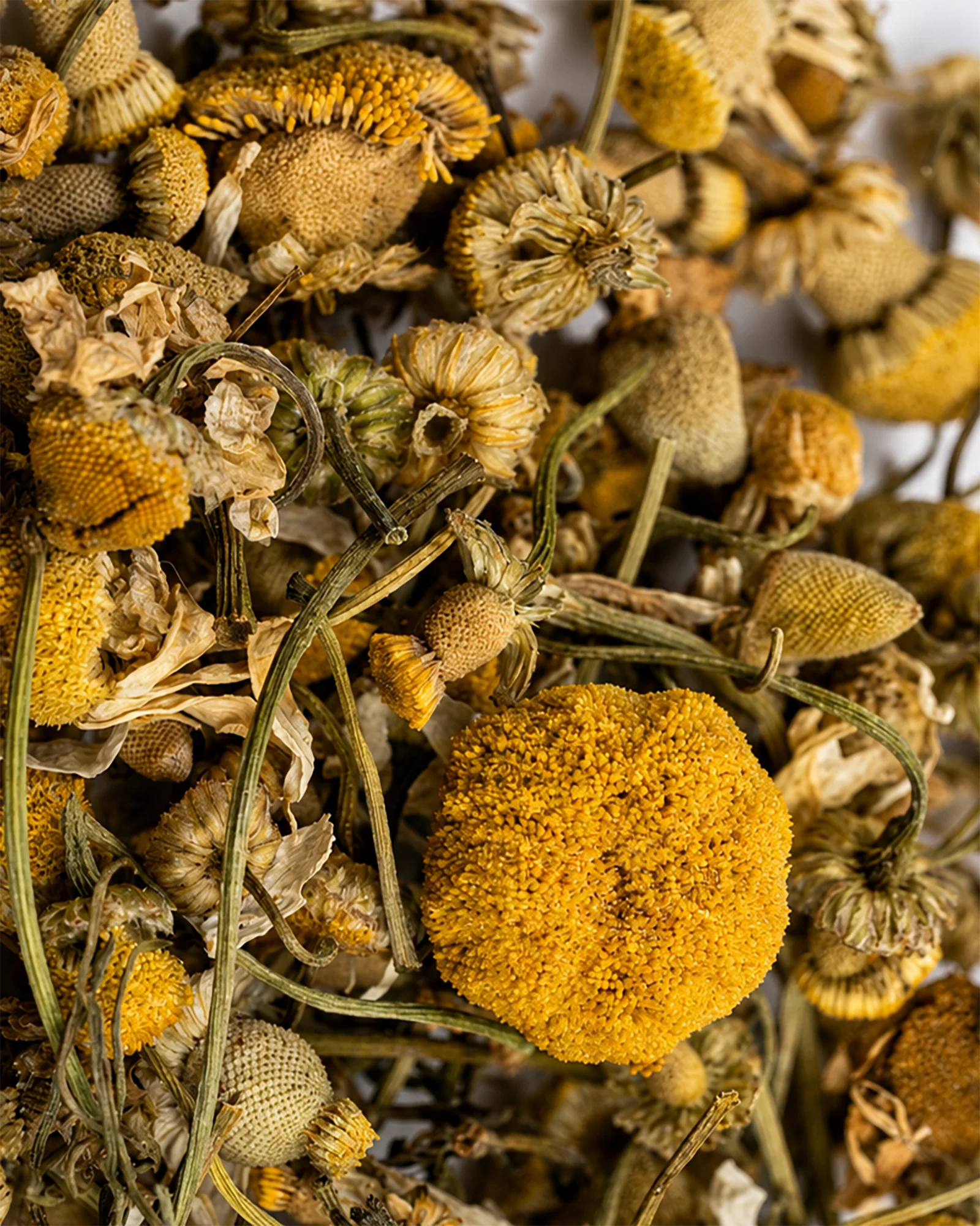 Close-up of dried chamomile flowers and herbal tea blend for Calmo Tea