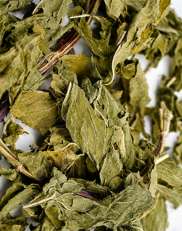 Saco Tea Her Flow herbal tea jar with brewed tea, loose herbs, mint, and soft floral styling on a neutral surface.