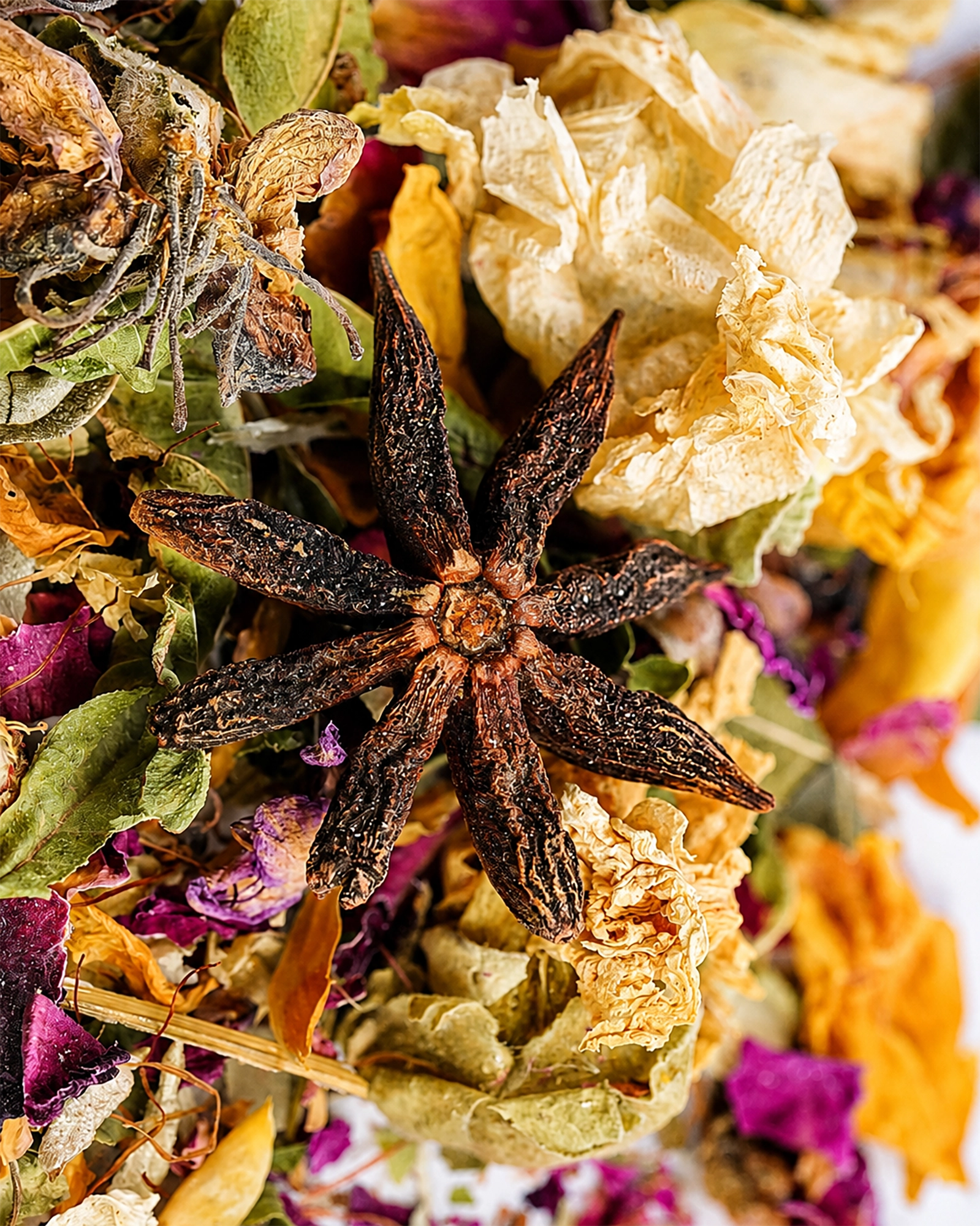 Close-up of dried flowers and herbs with star anise for Saco Tea Signature Tea.