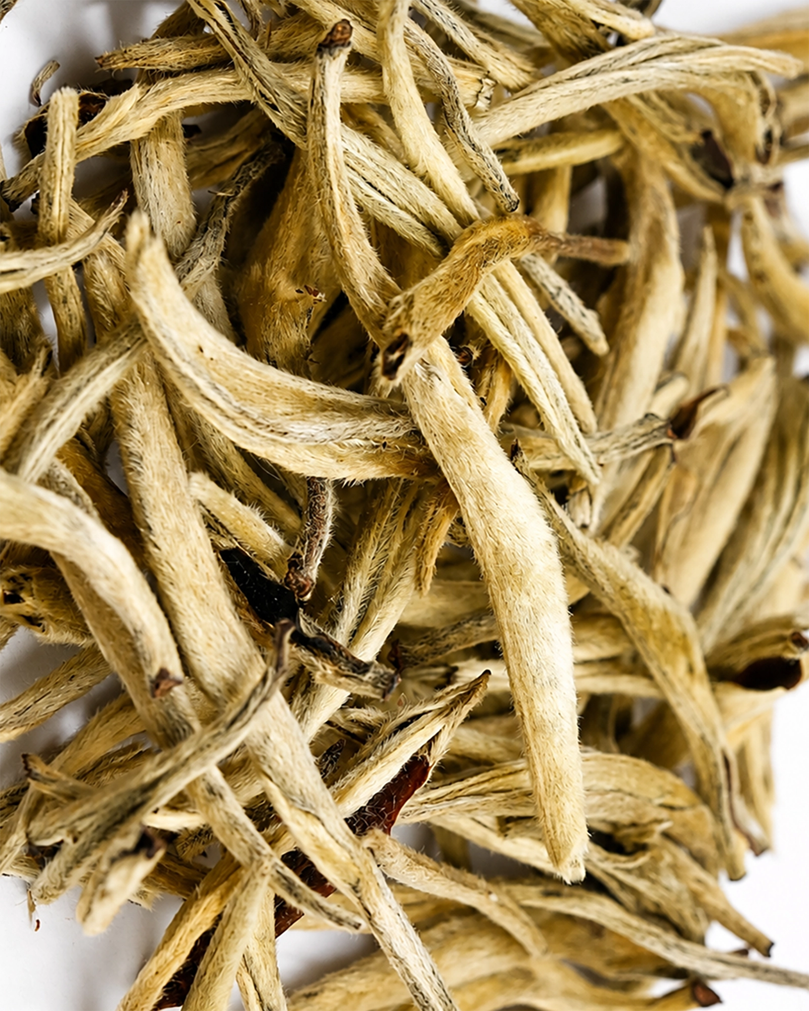 Close-up of loose white tea leaves on a white background.