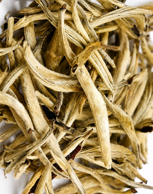 Jar of Whit-Tea with a glass of tea in the background on a light surface.